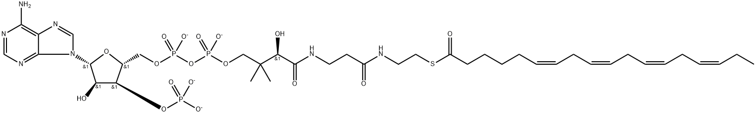 Stearidonoyl-coenzyme A (Stearidonoyl CoA) Structure