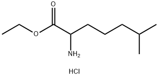 ethyl 2-amino-6-methylheptanoate hydrochloride Structure