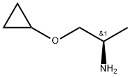 (1R)-2-Cyclopropoxy-1-methyl-ethylamine Structure