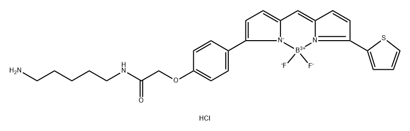 Boron, [N-(5-aminopentyl)-2-[4-[5-[[5-(2-thienyl)-2H-pyrrol-2-ylidene-κN]methyl]-1H-pyrrol-2-yl-κN]phenoxy]acetamidato]difluoro-, hydrochloride (1:1), (T-4)- 구조식 이미지