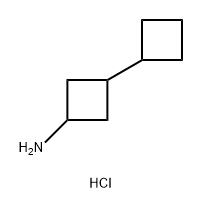 3-cyclobutylcyclobutan-1-amine hydrochloride, Mixture of isomers Structure