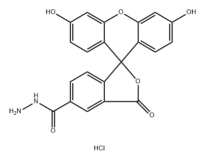 5-FAM hydrazide HCl 구조식 이미지