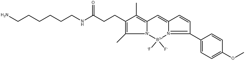 BDP TMR amine Structure