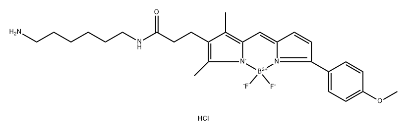 BDP TMR amine Structure