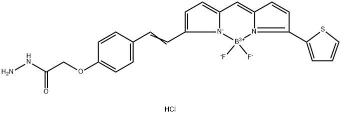 BDP 630/650 hydrazide Structure