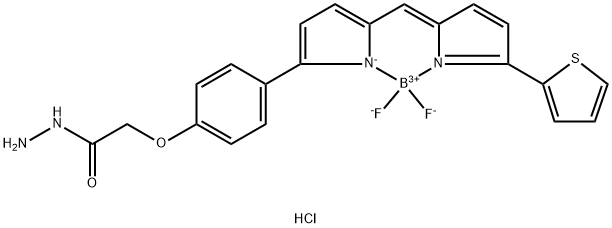 BDP TR hydrazide Structure