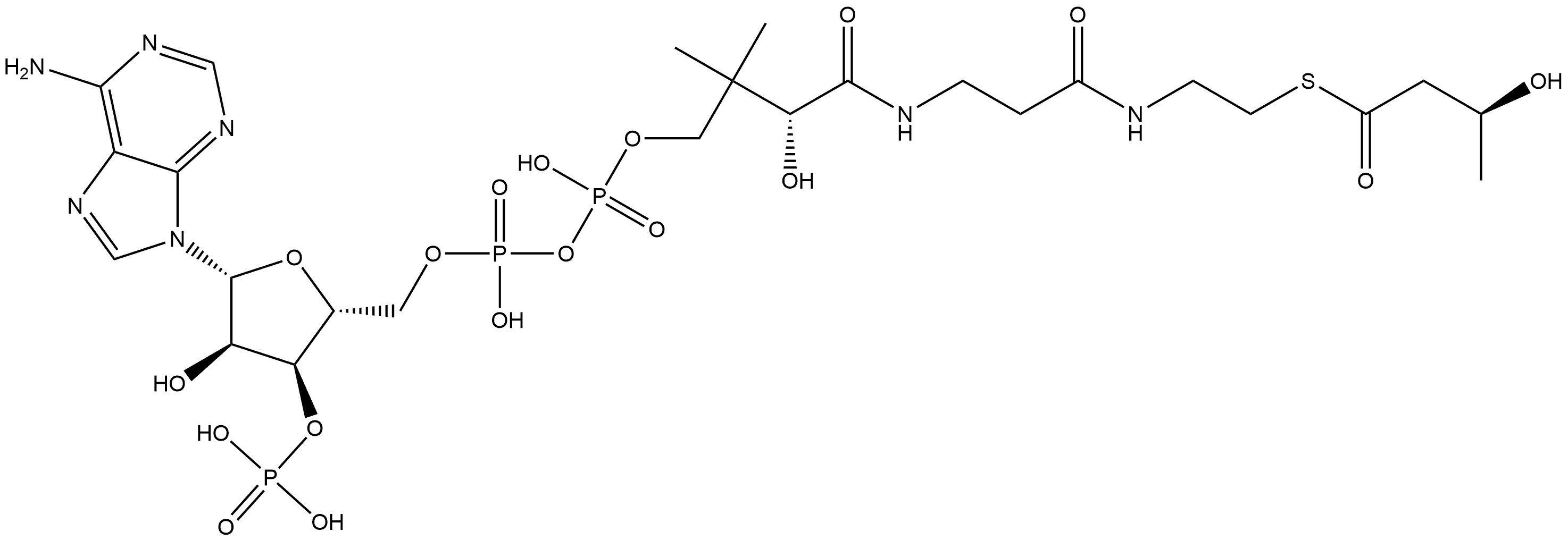 Coenzyme A, S-[(3S)-3-hydroxybutanoate] Structure