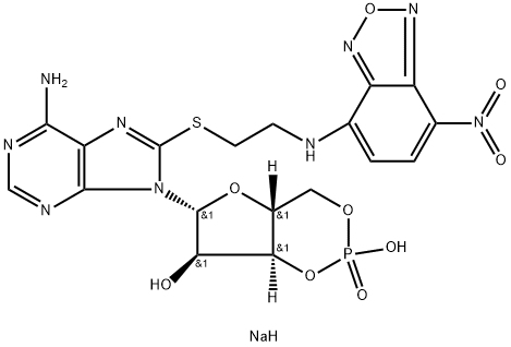 8-NBD-cAMP Structure