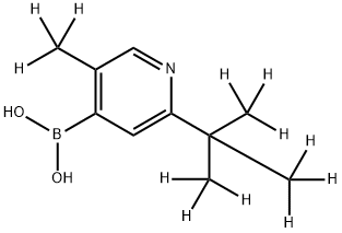 [3-Methyl-6-(tert-butyl)-d12]-pyridine-4-boronic acid 구조식 이미지