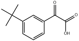 2-(3-(tert-butyl)phenyl)-2-oxoacetic acid Structure