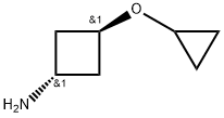 trans-3-Cyclopropoxy-cyclobutylamine Structure