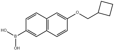 B-[6-(Cyclobutylmethoxy)-2-naphthalenyl]boronic acid Structure