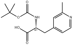 INDEX NAME NOT YET ASSIGNED Structure