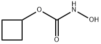 INDEX NAME NOT YET ASSIGNED Structure