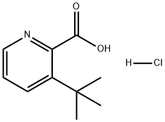 3-(tert-Butyl)picolinic acid (hydrochloride) Structure