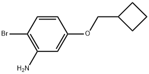 2-Bromo-5-(cyclobutylmethoxy)benzenamine Structure