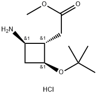 methyl
2-[(1R,2S,4R)-2-amino-4-(tert-butoxy)cyclobutyl]a
cetate hydrochloride Structure