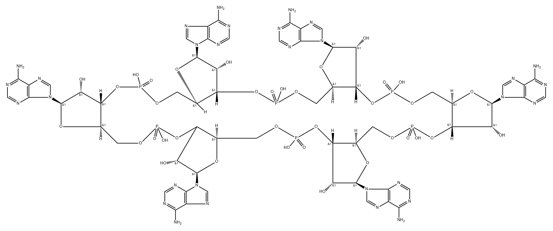 3'-Adenylic acid, adenylyl-(3'→5')-adenylyl-(3'→5')-adenylyl-(3'→5')-adenylyl-(3'→5')-adenylyl-(3'→5')-, cyclic nucleotide (9CI) 구조식 이미지