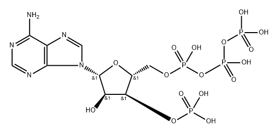 Adenosine 5'-Triphosphate, 3'-phosphate Structure