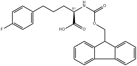 INDEX NAME NOT YET ASSIGNED Structure