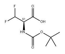 INDEX NAME NOT YET ASSIGNED Structure