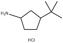 Cyclopentanamine, 3-(1,1-dimethylethyl)-, hydrochloride (1:1) Structure