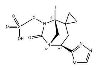 CB-618 Homologous 1 Structure