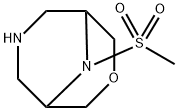 9-(Methylsulfonyl)-3-oxa-7,9-diazabicyclo[3.3.1]nonane Structure