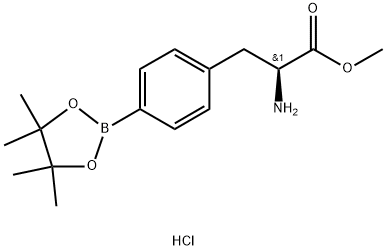Methyl (2S)-2-amino-3-[4-(tetramethyl-1,3,2-dioxaborolan-2-yl)phenyl]propanoate hydrochloride 구조식 이미지