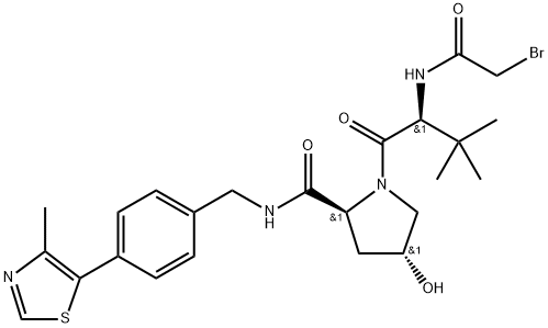 INDEX NAME NOT YET ASSIGNED Structure