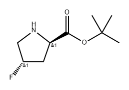 INDEX NAME NOT YET ASSIGNED Structure