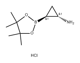 trans-2-(4,4,5,5-tetramethyl-1,3,2-dioxaborolan-2-yl)cyclopropan-1-amine hydrochloride Structure