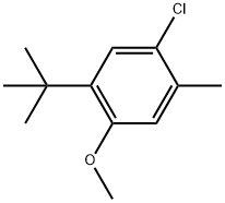 1-Chloro-5-(1,1-dimethylethyl)-4-methoxy-2-methylbenzene Structure