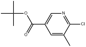 1,1-Dimethylethyl 6-chloro-5-methyl-3-pyridinecarboxylate Structure