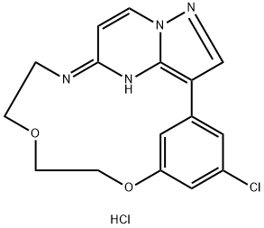 INDEX NAME NOT YET ASSIGNED Structure