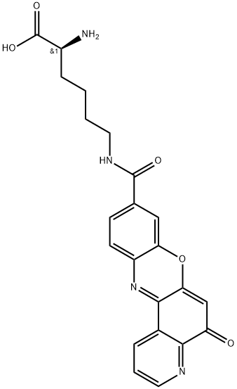 INDEX NAME NOT YET ASSIGNED Structure