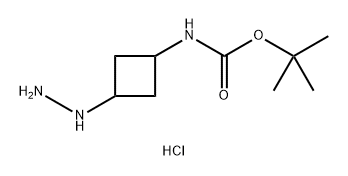 tert-Butyl (3-hydrazinylcyclobutyl)carbamate hydrochloride 구조식 이미지