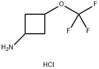 Cyclobutanamine, 3-(trifluoromethoxy)-, hydrochloride (1:1) Structure