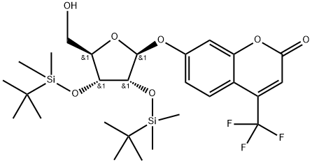 INDEX NAME NOT YET ASSIGNED Structure