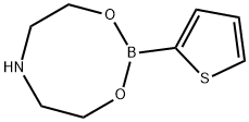 Tetrahydro-2-(2-thienyl)-4H-1,3,6,2-dioxazaborocine 구조식 이미지