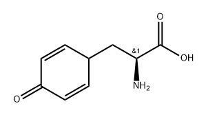 (S)-2-Amino-3-(4-oxocyclohexa-2,5-dien-1-yl)propanoic acid Structure