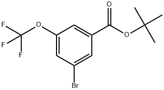 1,1-Dimethylethyl 3-bromo-5-(trifluoromethoxy)benzoate Structure