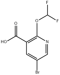 5-Bromo-2-(difluoromethoxy)nicotinic acid Structure