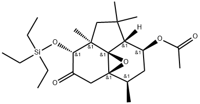 INDEX NAME NOT YET ASSIGNED Structure