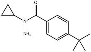 4-(tert-Butyl)-N-cyclopropylbenzohydrazide 구조식 이미지