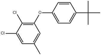 1,2-Dichloro-3-[4-(1,1-dimethylethyl)phenoxy]-5-methylbenzene Structure