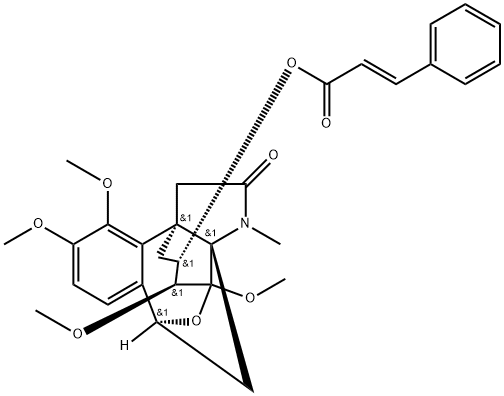 INDEX NAME NOT YET ASSIGNED Structure