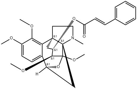 INDEX NAME NOT YET ASSIGNED Structure