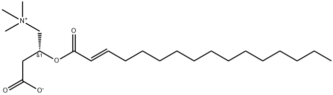 trans-2-Hexadecenoyl-L-carnitine Structure