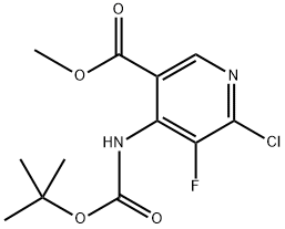 INDEX NAME NOT YET ASSIGNED Structure